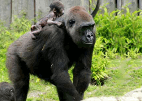 待望のBL作品がスタート!