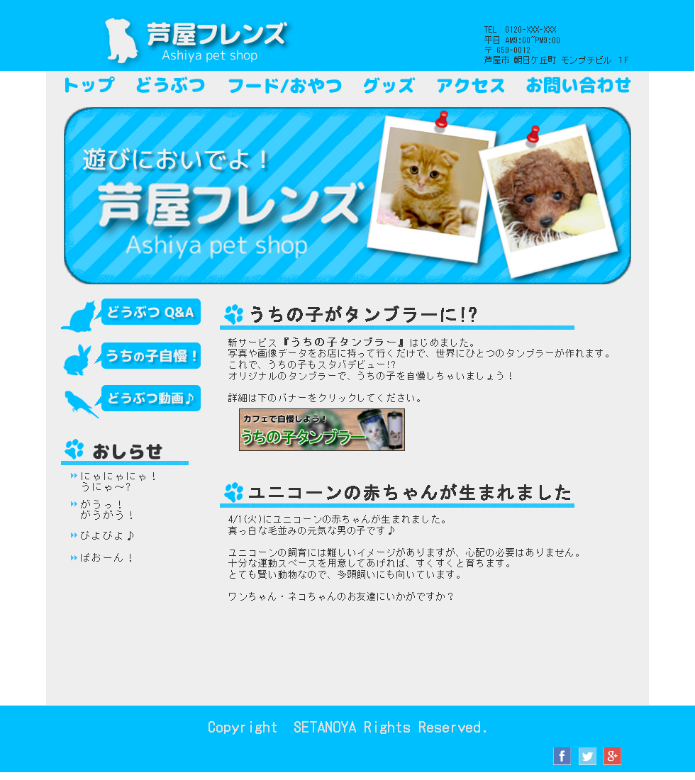 ペットショップ＿芦屋フレンズ